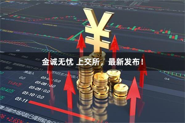 金诚无忧 上交所，最新发布！