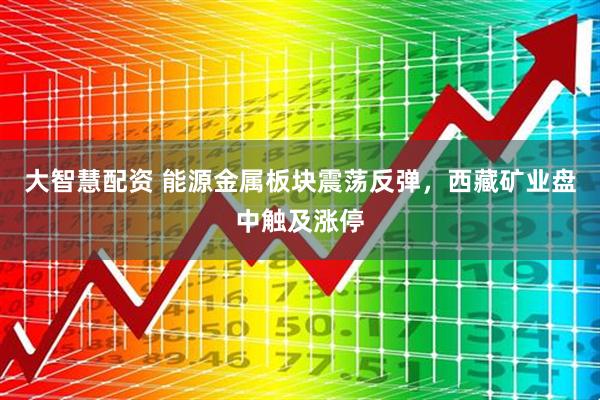 大智慧配资 能源金属板块震荡反弹，西藏矿业盘中触及涨停