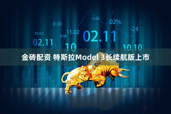 金砖配资 特斯拉Model 3长续航版上市